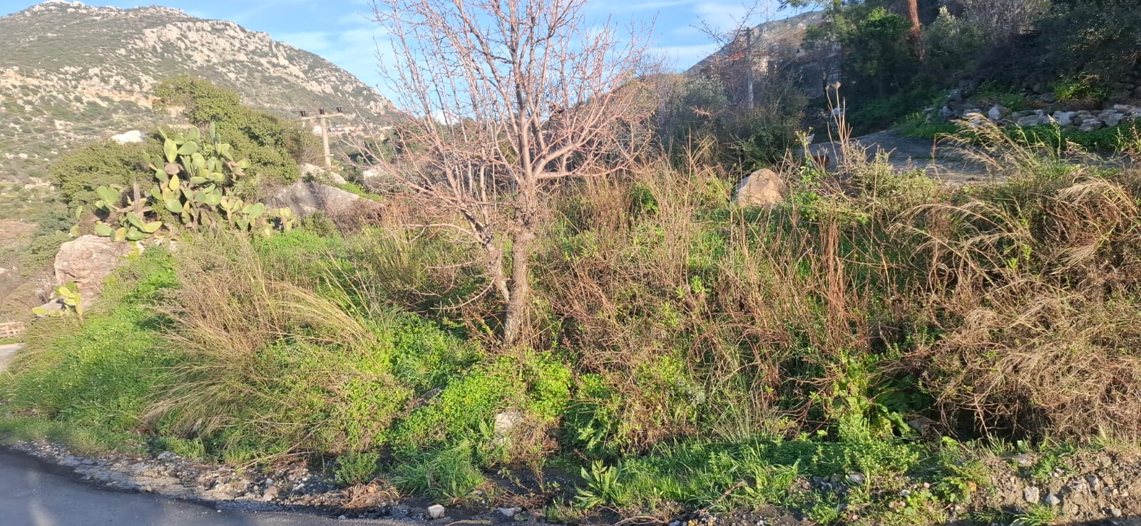 MABELDEN MARMARİS SÖĞÜTTE 7 DÖNÜM DENİZ MANZARALI SATILIKI ARAZİ